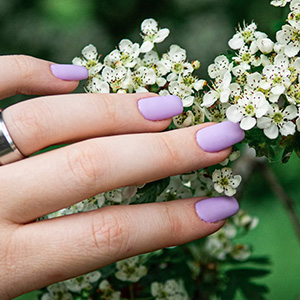 Summer Nail Beauty  gallery